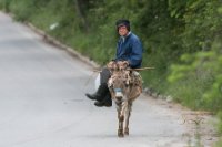 LBL1704114-1200  Farmer riding donkey, Mokliste, Macedonia. ©Leif Bisschop-Larsen / Naturfoto.