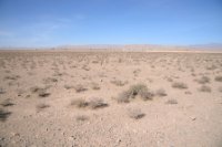 LBL2400151-1200  The plains of Boumalne Dades © Leif Bisschop-Larsen / Naturfoto