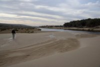 LBL2400193-1200  Oued Massa, sand dunes close the river-mouth © Leif Bisschop-Larsen / Naturfoto