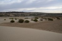 LBL2400195-1200  Oued Massa © Leif Bisschop-Larsen / Naturfoto