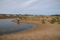 LBL2400199-1200  Oued Massa © Leif Bisschop-Larsen / Naturfoto