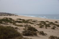 LBL2400209-1200  The coast with the closed outlet of Oued Massa © Leif Bisschop-Larsen / Naturfoto