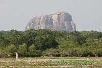 LBL1302612-1200 The Elephant Rock in Yala National Park
