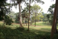 LBL1800825-1200  Entebbe Botanical Garden. © Leif Bisschop-Larsen / Naturfoto